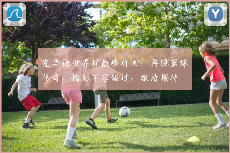 霍华德世界杯巅峰对决，再现篮球传奇，精彩不容错过，敬请期待