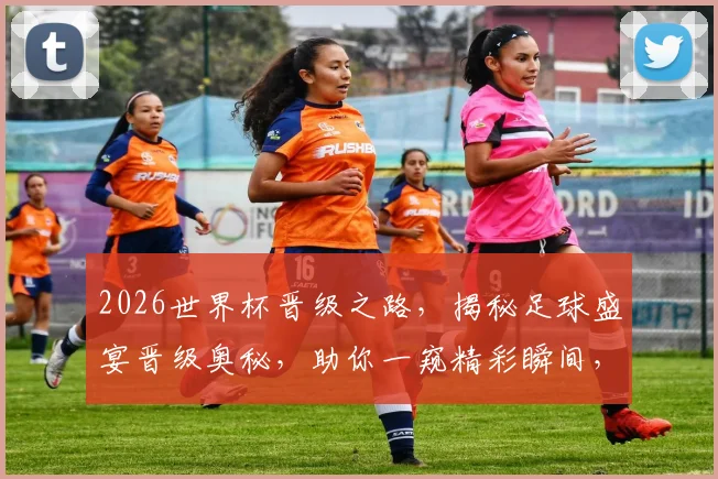 2026世界杯晋级之路，揭秘足球盛宴晋级奥秘，助你一窥精彩瞬间，不容错过