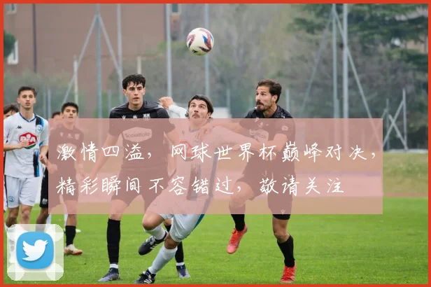 激情四溢，网球世界杯巅峰对决，精彩瞬间不容错过，敬请关注